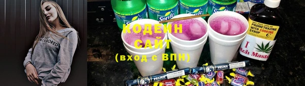 молекула духа Осташков