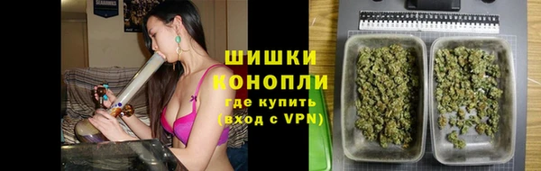 молекула духа Осташков