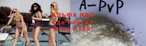 молекула духа Осташков