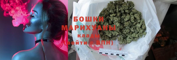молекула духа Осташков
