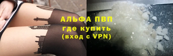 молекула духа Осташков