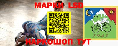 твердый Камышлов