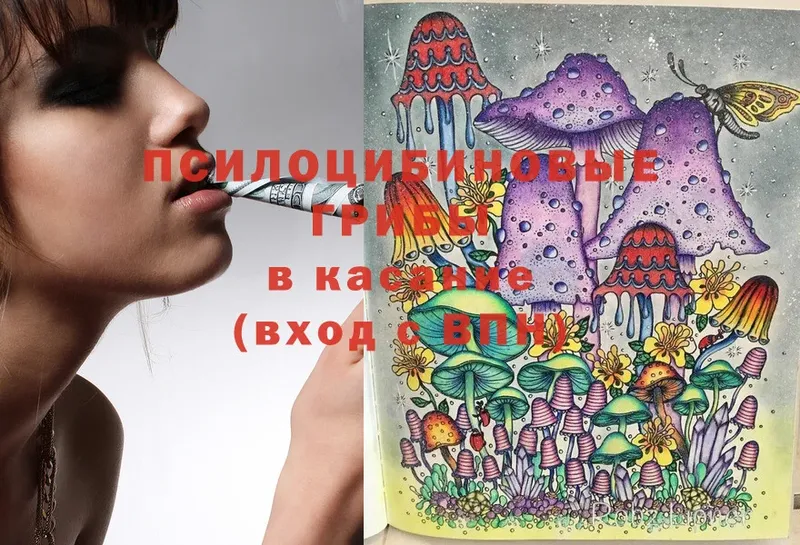 Псилоцибиновые грибы Magic Shrooms  где купить наркоту  Ставрополь 