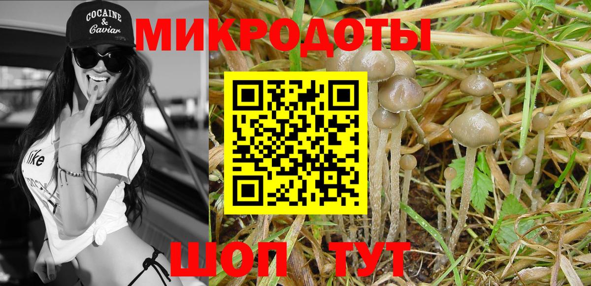 Галлюциногенные грибы мицелий Ставрополь