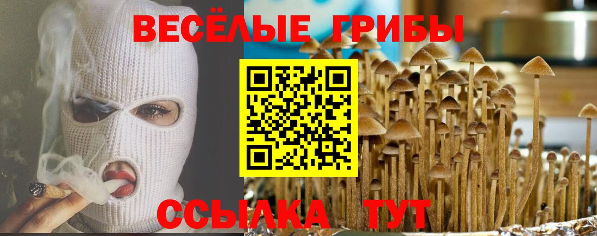 Галлюциногенные грибы MAGIC MUSHROOMS  Ставрополь 