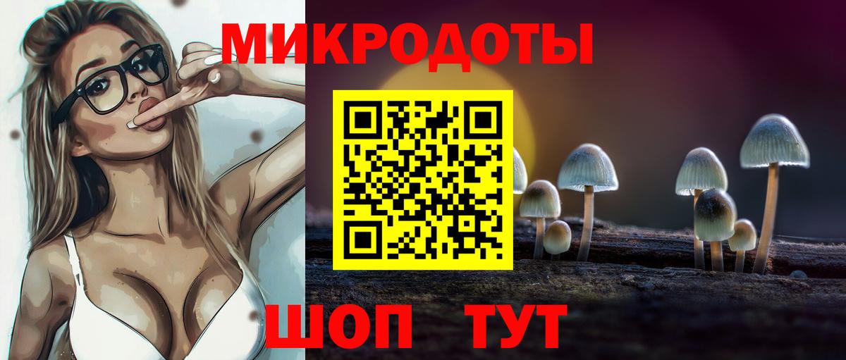 Ставрополь  Галлюциногенные грибы прущие грибы  Вход с VPN 