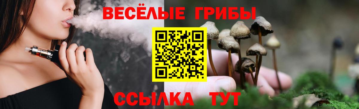 Галлюциногенные грибы Psilocybine cubensis Ставрополь